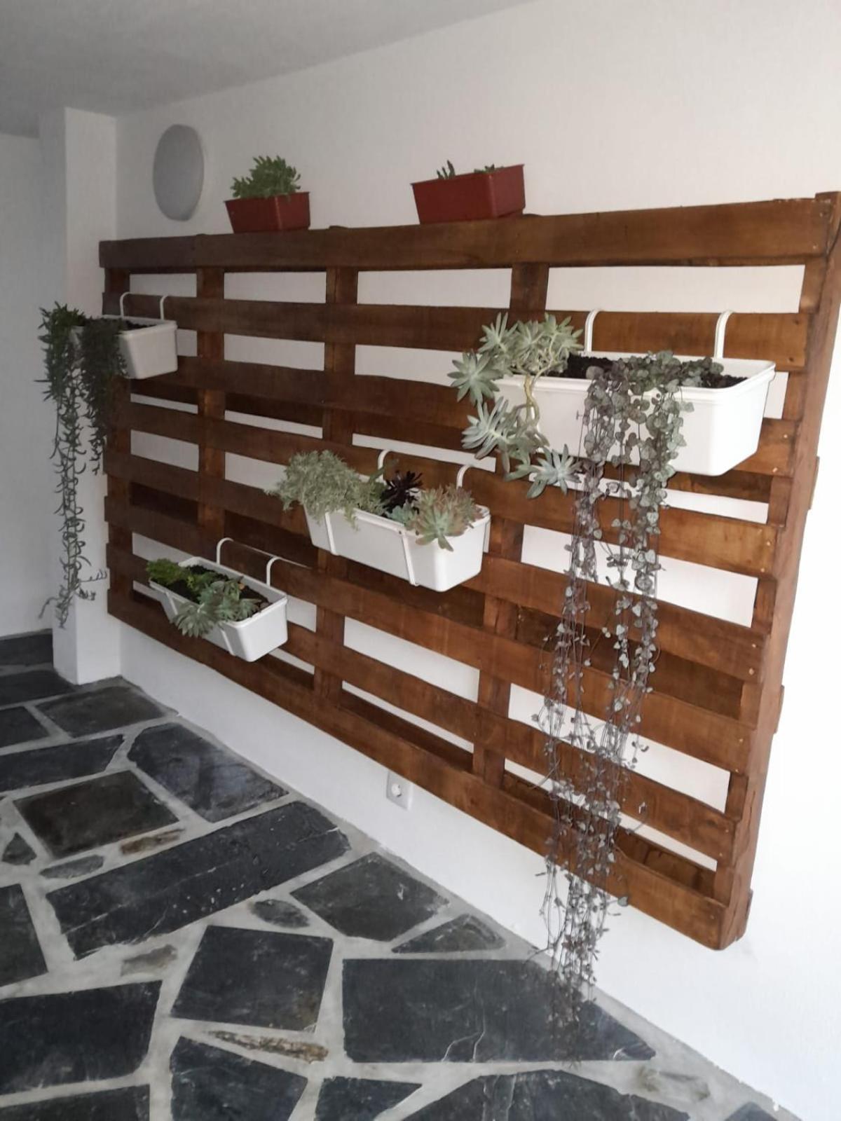 ארוקה Casa De Baixo Studios מראה חיצוני תמונה